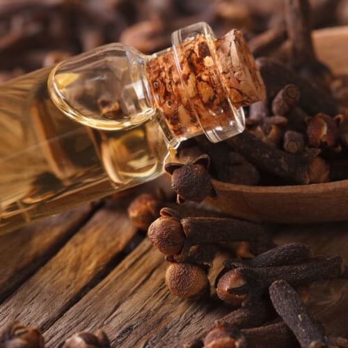 Clove Oil