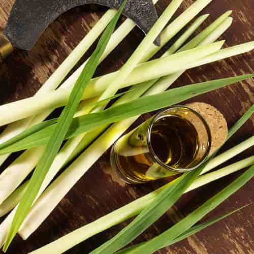 Lemon Grass Oil