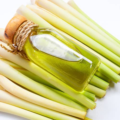 Lemon Grass Oil